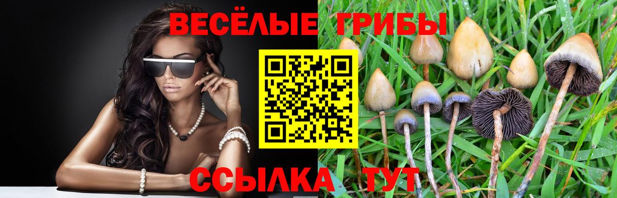 Псилоцибиновые грибы MAGIC MUSHROOMS Ялта